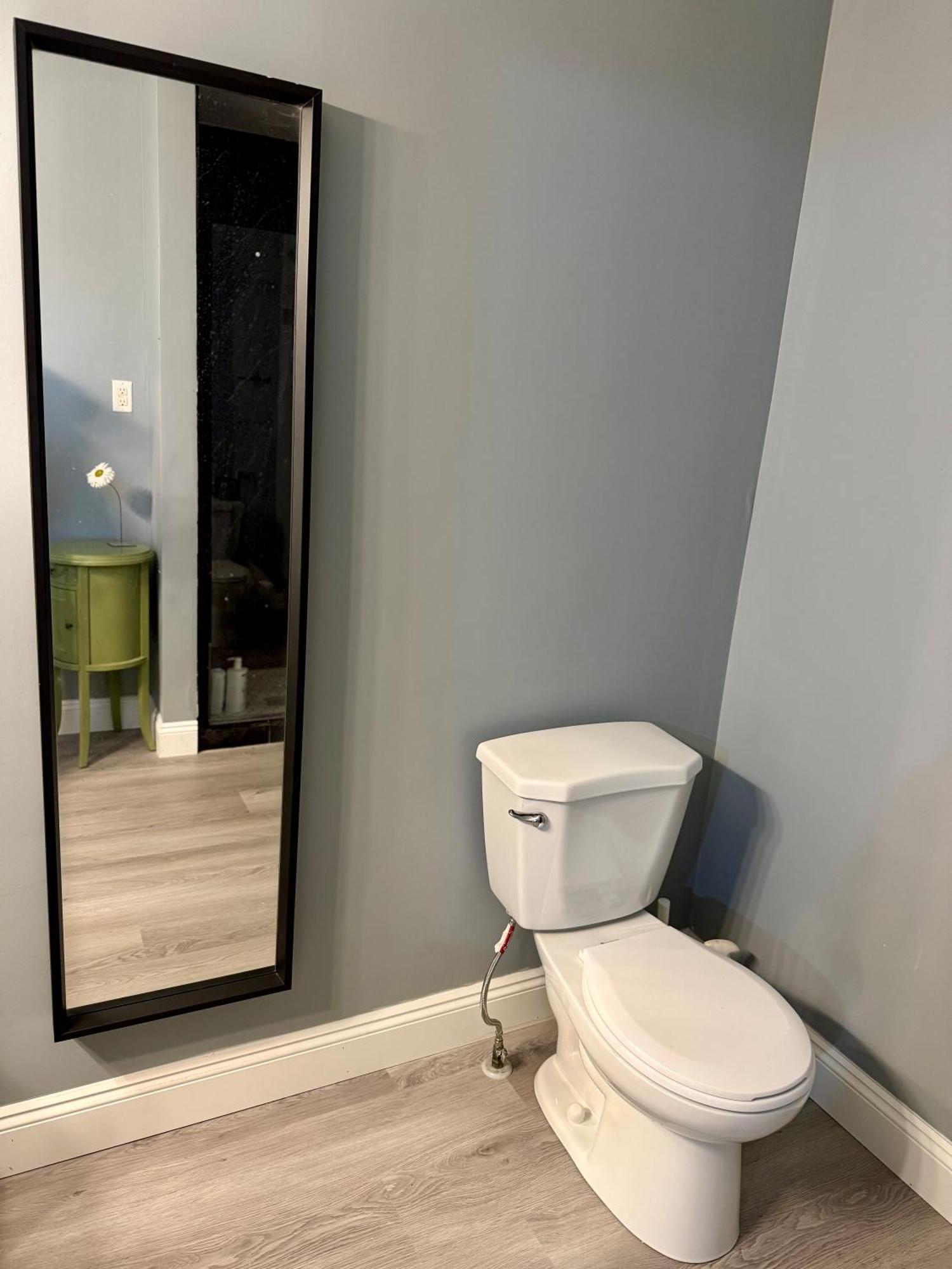 Gorgeous House&30 Second Bus Station Close C-Train& Free Parking Κάλγκαρι Εξωτερικό φωτογραφία